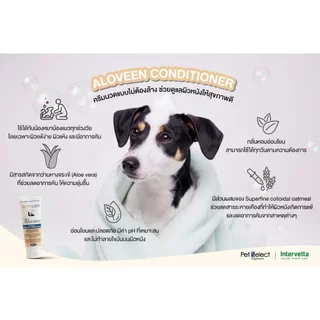 Dermcare Aloveen Oatmeal Shampoo สูตรโอ๊ตมิลล์ ช่วยลดอาการคัน ผื่น แดง สำหรับสุนัขและแมวแพ้ง่าย ขนาด 500ml / 250ml