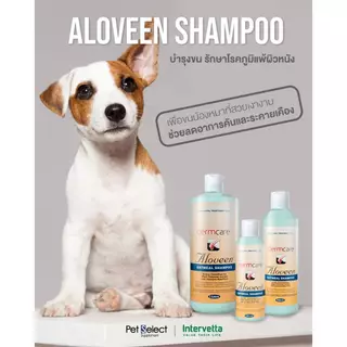 Dermcare Aloveen Oatmeal Shampoo สูตรโอ๊ตมิลล์ ช่วยลดอาการคัน ผื่น แดง สำหรับสุนัขและแมวแพ้ง่าย ขนาด 500ml / 250ml