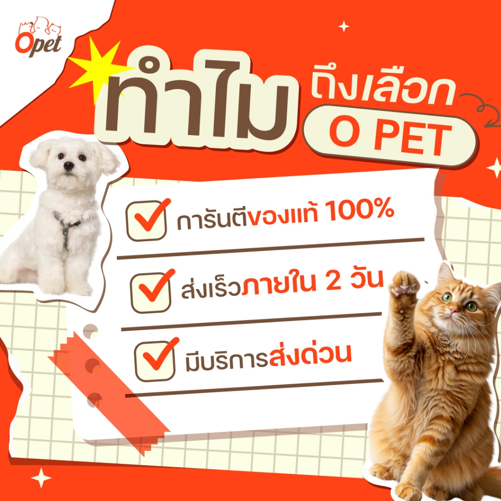 รูปภาพ 2