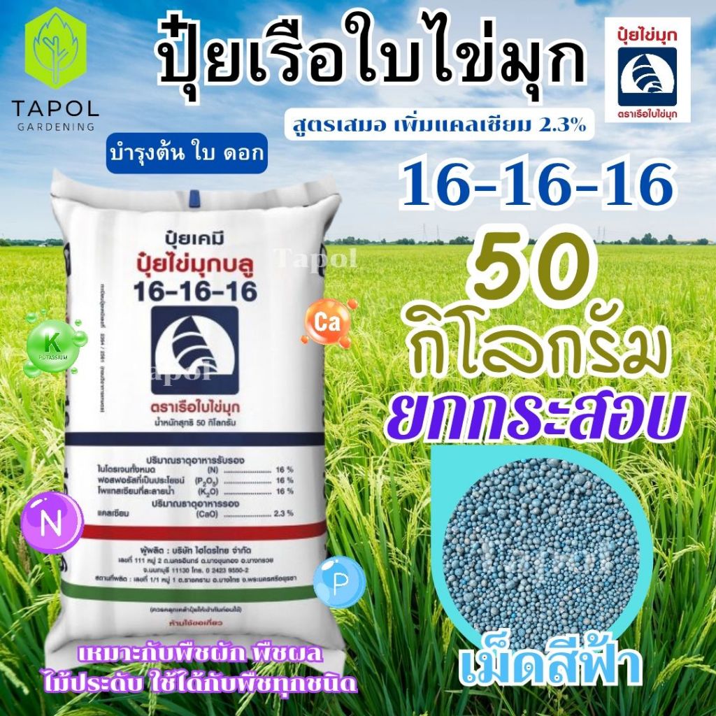 ปุ๋ยเรือใบไข่มุก 16-16-16 เม็ดสีฟ้า ยกกระสอบ 50 กิโลกรัม บำรุงต้น ดอก ใบ เร่งการเจริญเติบโต เหมาะกับ