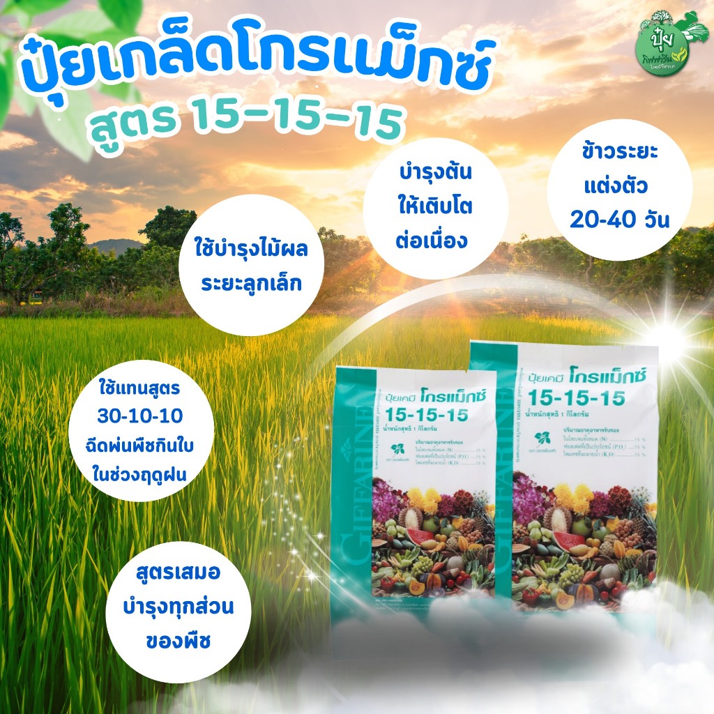 ปุ๋ยเกล็ดละลายน้ำ Gromax 15-15-15 ปุ๋ยเร่งโต เร่งใบ ดอก ผล ผลผลิตดี พืชงามไว ปุ๋ยกิฟฟารีน