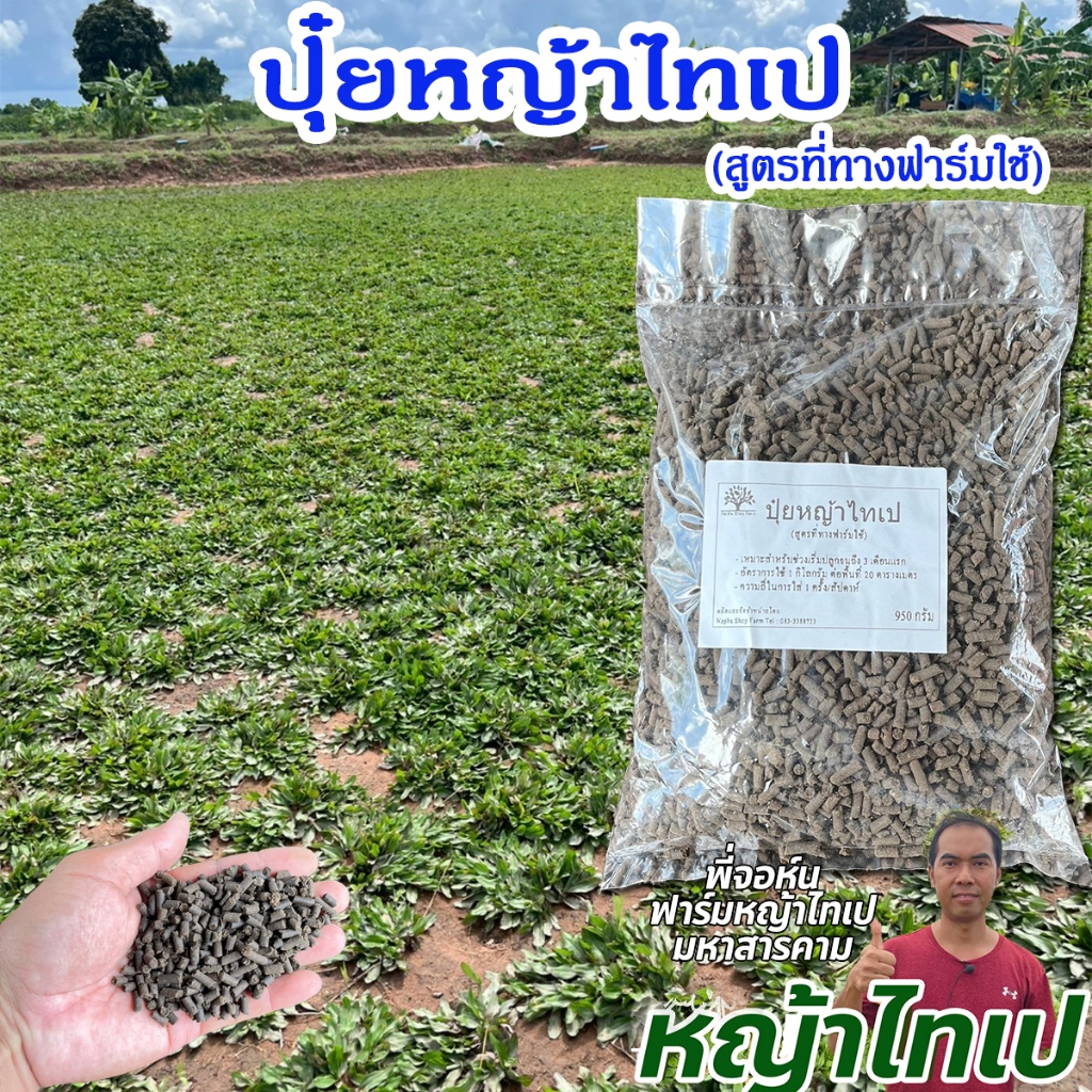 ปุ๋ยหญ้าไทเป ระยะ 3 เดือนแรก สูตรที่ทางฟาร์มใช้ ขนาด 950 กรัม