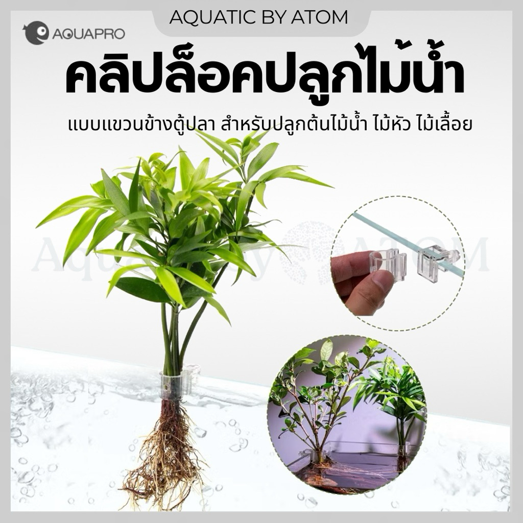 (พร้อมส่ง) คลิปล็อคปลูกไม้น้ำ แบบแขวนข้างตู้ปลา สำหรับปลูกต้นไม้น้ำ ไม้หัว ไม้เลื้อย
