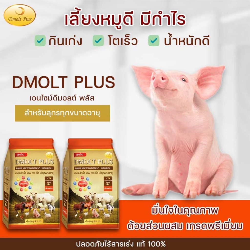 ดีมอลต์พลัส อาหารเสริมสุกร เป็ด ไก่ ( 2 ถุง)