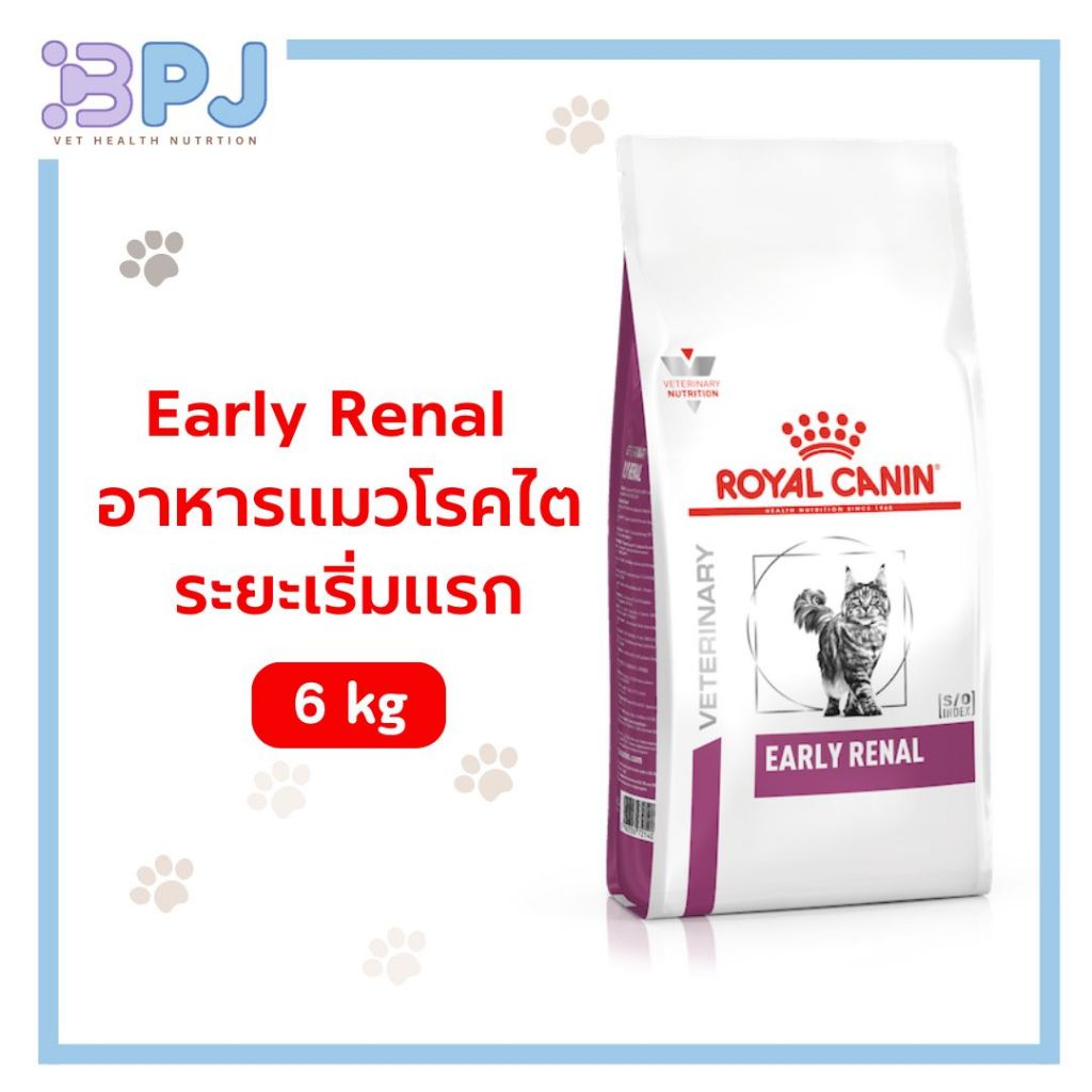 Early Renal Cat 6 kg early renal 6kg. สำหรับแมวโรคไตระยะแรก อาหารแมวแก่