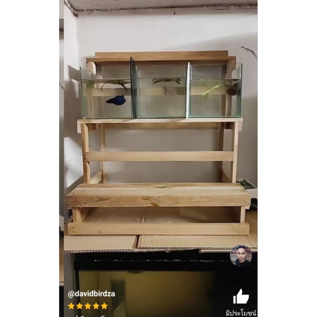 ชั้นวางโหลปลากัดไม้สักแท้ วางโหลปลากัดขนาด 4 x6x8 นิ้วได้ชั้นละ 3 ใบ