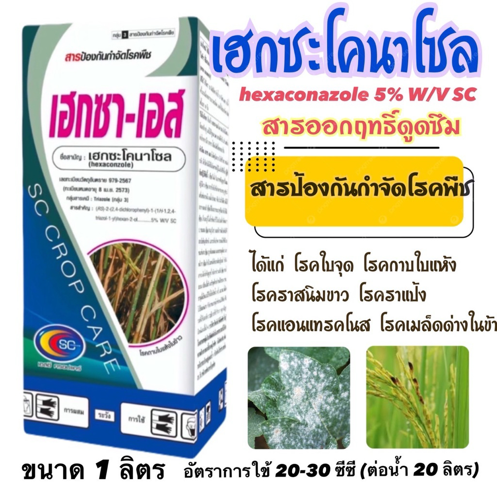 เฮกซา-เอส เฮกซะโคนาโซล hexaconazole สารเฮกษะ