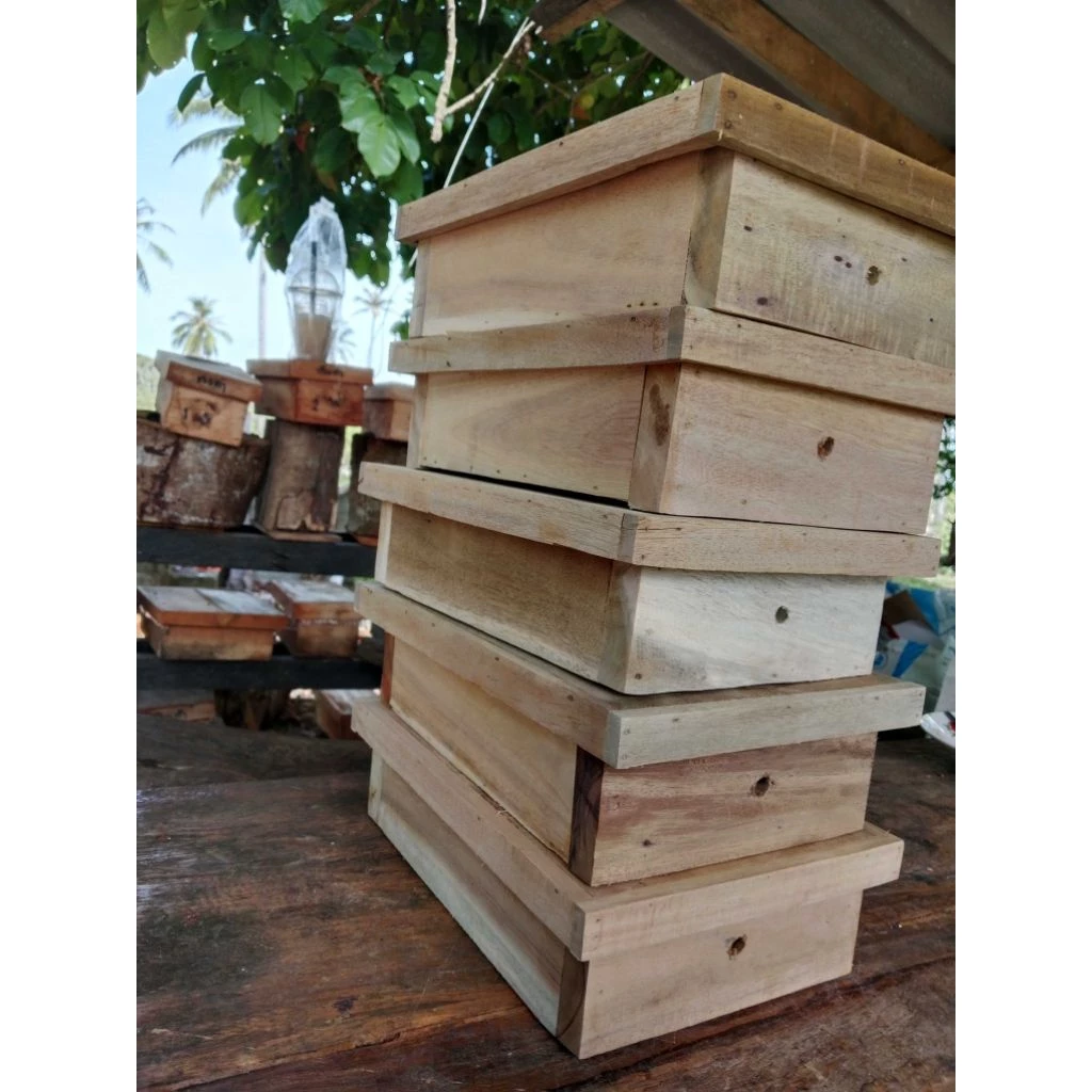 กล่องชันโรง ขนาด A4 ขนาด 8x12x3 นิ้ว thumbnail 10