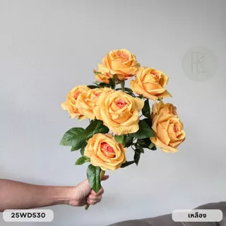 กุหลาบโลลิต้า 7 ดอก หน้าดอก 10 cm. สูง 43 cm.