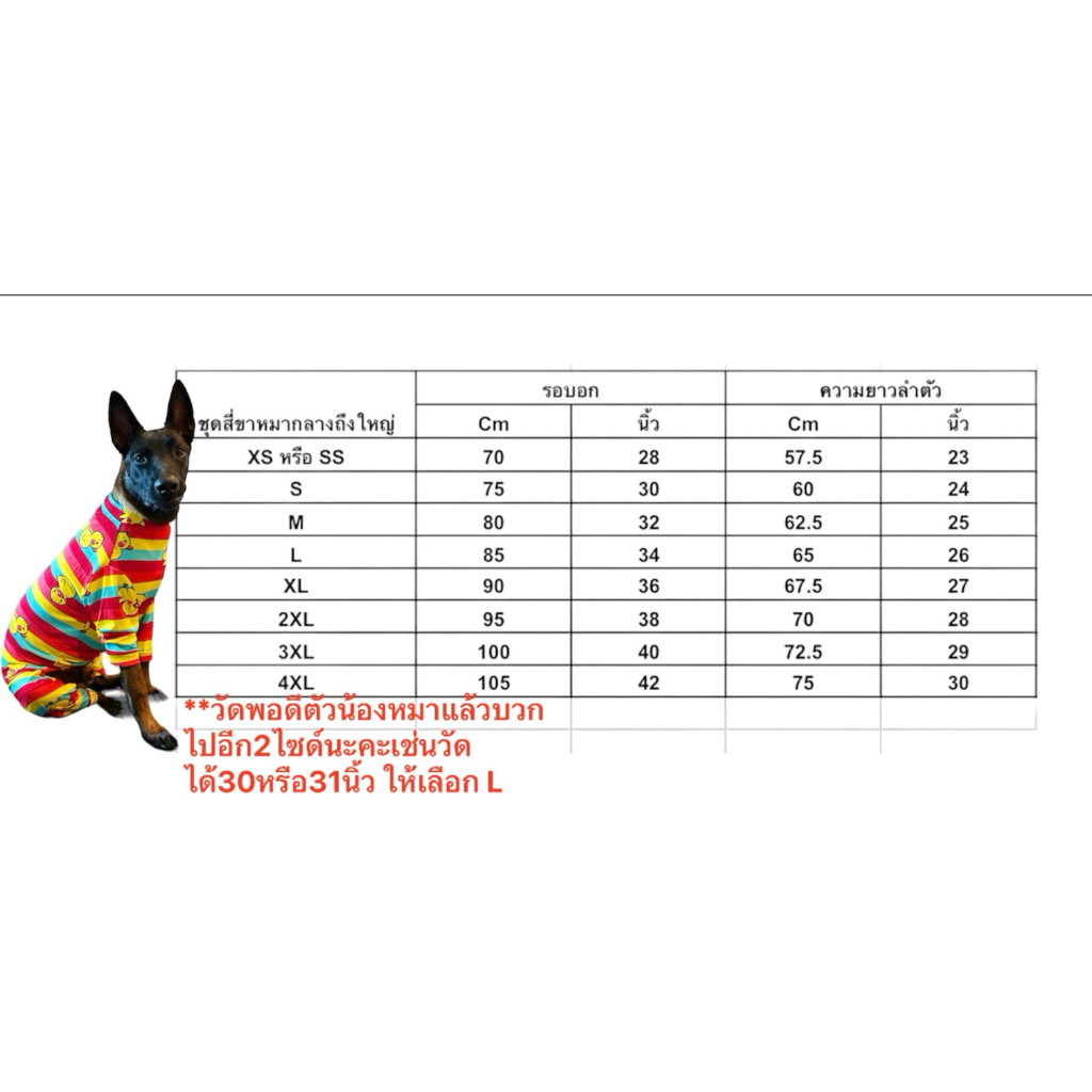 พร้อมส่ง! เสื้อสุนัข เสื้อหมาขนาดใหญ่ เที่ยวทะเล กางเกงขาสั้น - รูปที่ 2