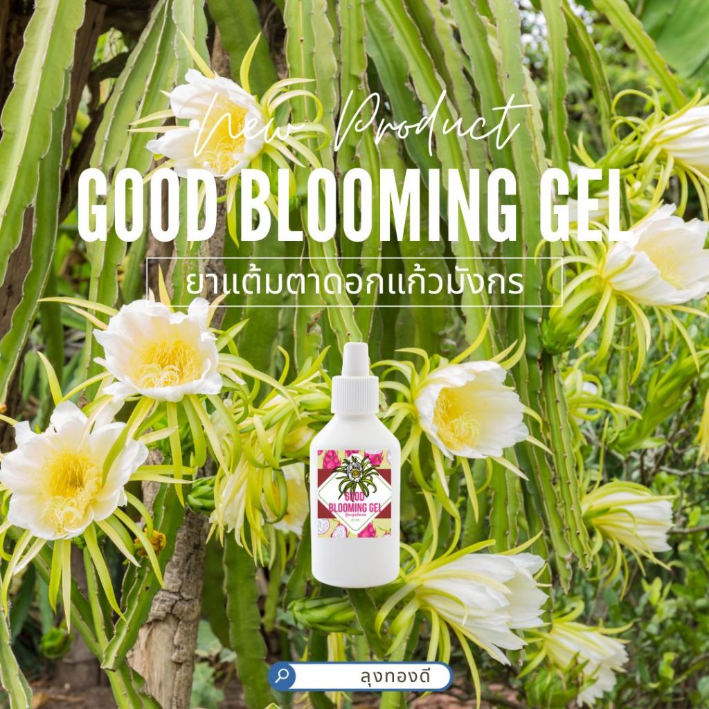 Good Blooming Gel ยาแต้มตาดอกแก้วมังกร ขนาด 10 ml. กระตุ้นการเกิดตาดอก ส่งเสริมการออกดอกนอกฤดู