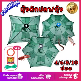 แถมอาหารปลา ตาข่ายดักปลา 4ช่อง 6 ช่อง 8 ช่อง 10 ช่อง กระชังป…
