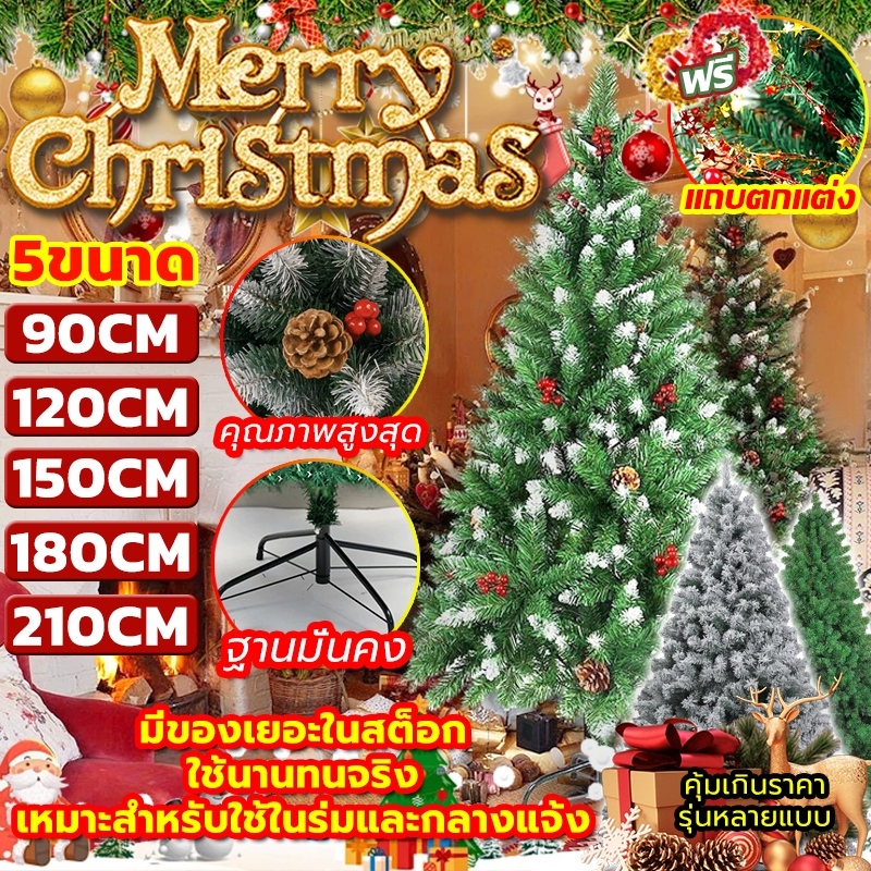 【คริสต์มาส】พร้อมส่ง ต้นคริสต์มาส ปลอม ฟรีแถบตกแต่ง ขนาดใหญ่ ทนทาน คุณภาพสูงสุดPVC ขนาด90/120/150/180CM Christmas Tree