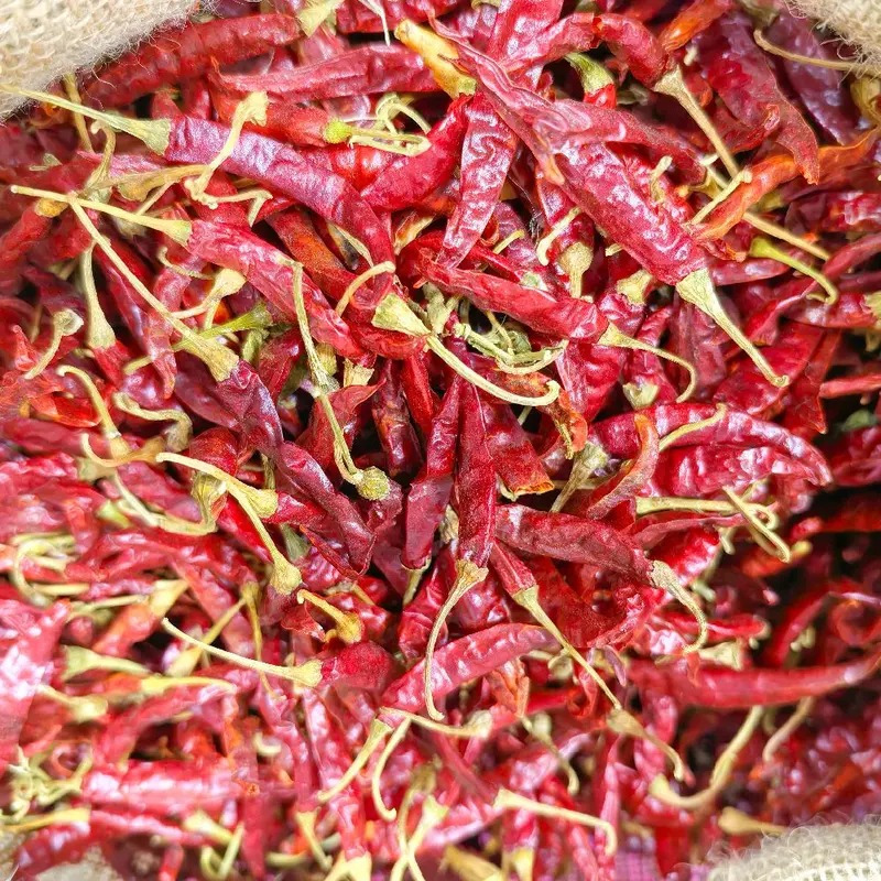 พริกขี้หนูก้าน เผ็ด หอม พริกแห้งสวย