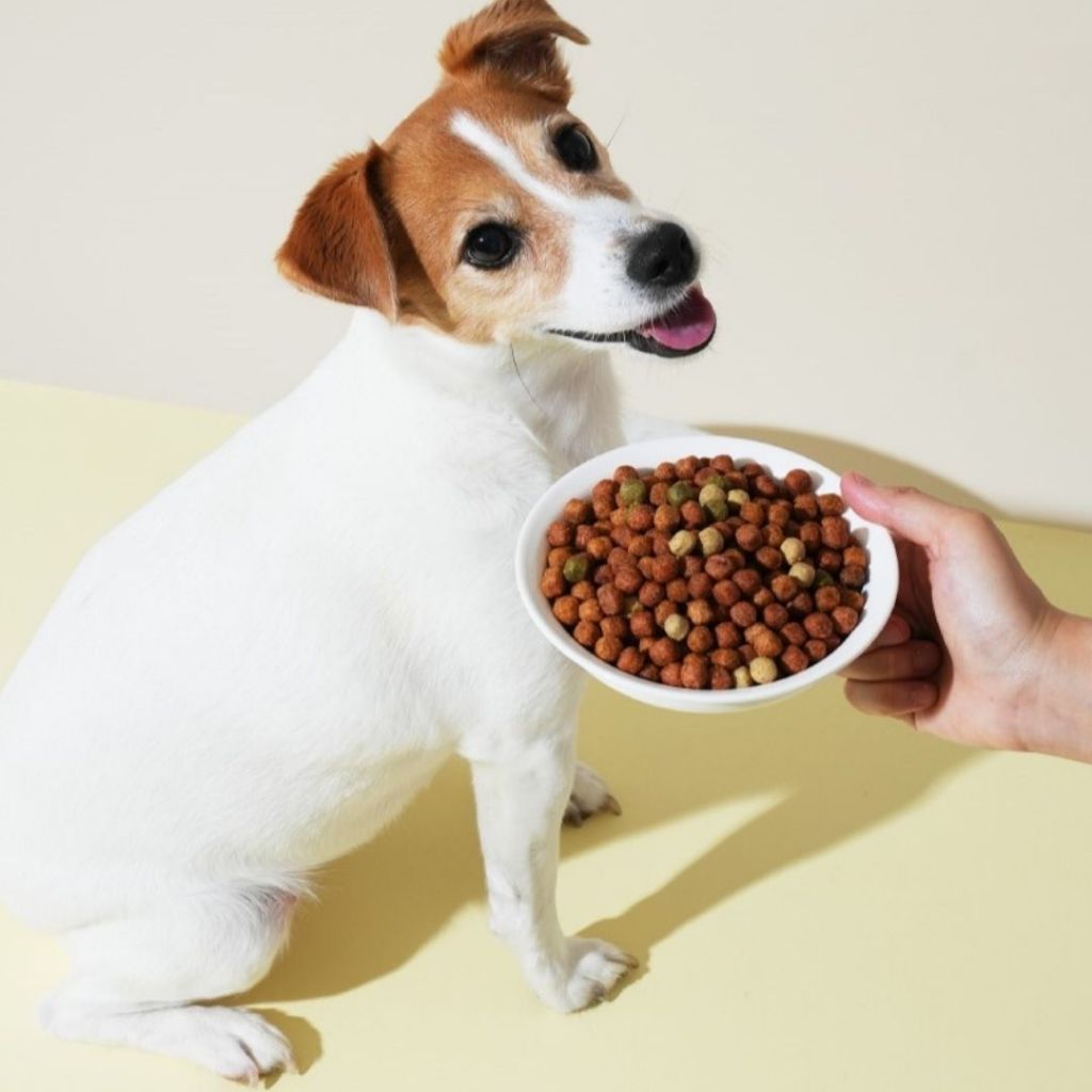 Natural Core Soft Deli Chicken & Vegetables อาหารเม็ดนิ่มไก่และผัก สำหรับสุนัข นำเข้าจากเกาหลี - รูปที่ 4