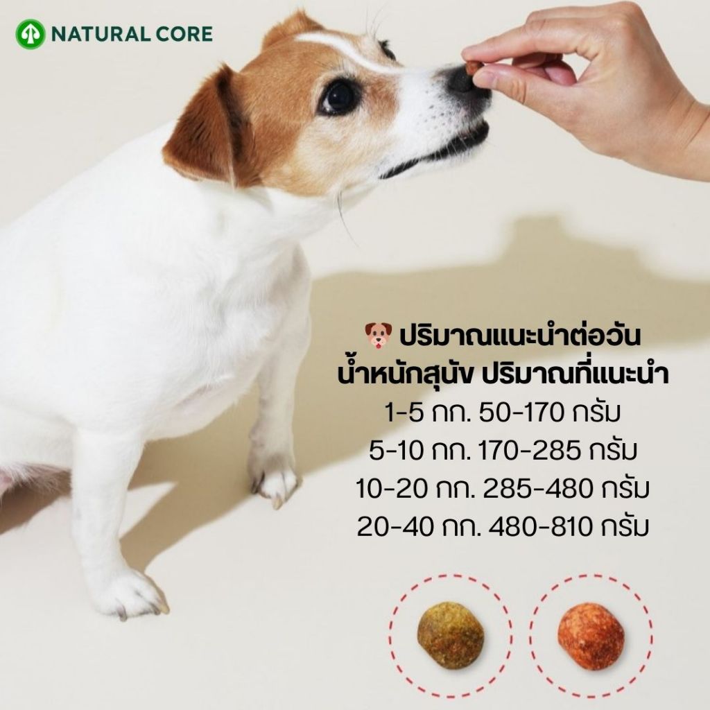 Natural Core Soft Deli Chicken & Vegetables อาหารเม็ดนิ่มไก่และผัก สำหรับสุนัข นำเข้าจากเกาหลี - รูปที่ 3