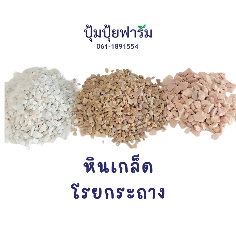 หินเกล็ดโรยกระถาง ขาว, ส้มทอง, ชมพู บรรจุถุงซิป 100g ตกแต่ง กระถาง cactus, ไม้ประดับทั่วไป