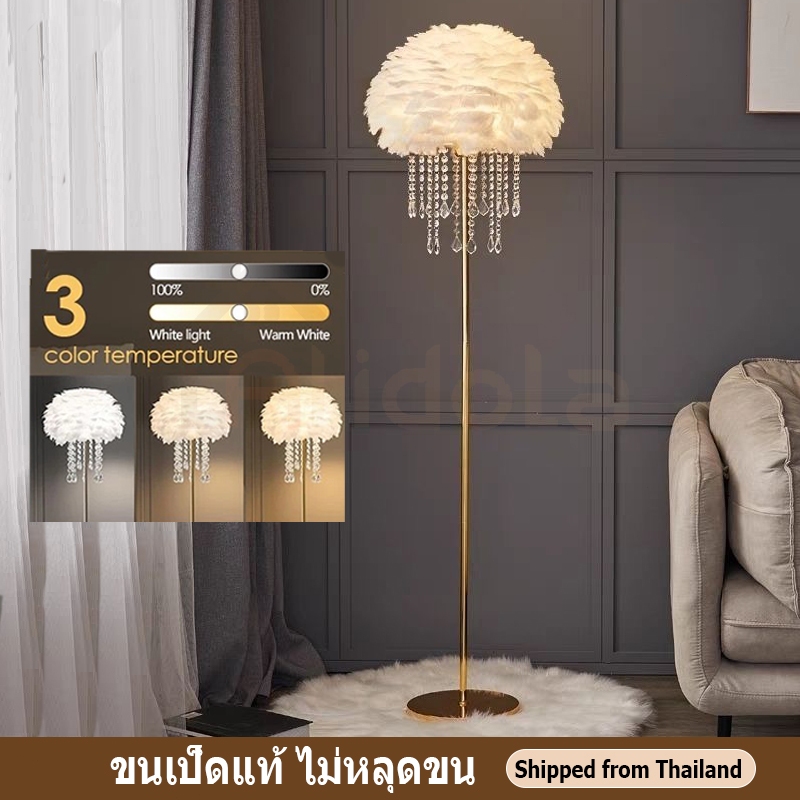 โคมไฟตั้งพื้นLED🧡โคมไฟการ ไฟแต่งห้อง ขนเป็ดแท้ ปรายจิ๋ววัสดุแก้ว ห้องนั่ง เล่นนอร์ดิก แสง3สีเปลี่ยนได้ โคมไฟตั้งพื้นขนนก รูปที่ 1