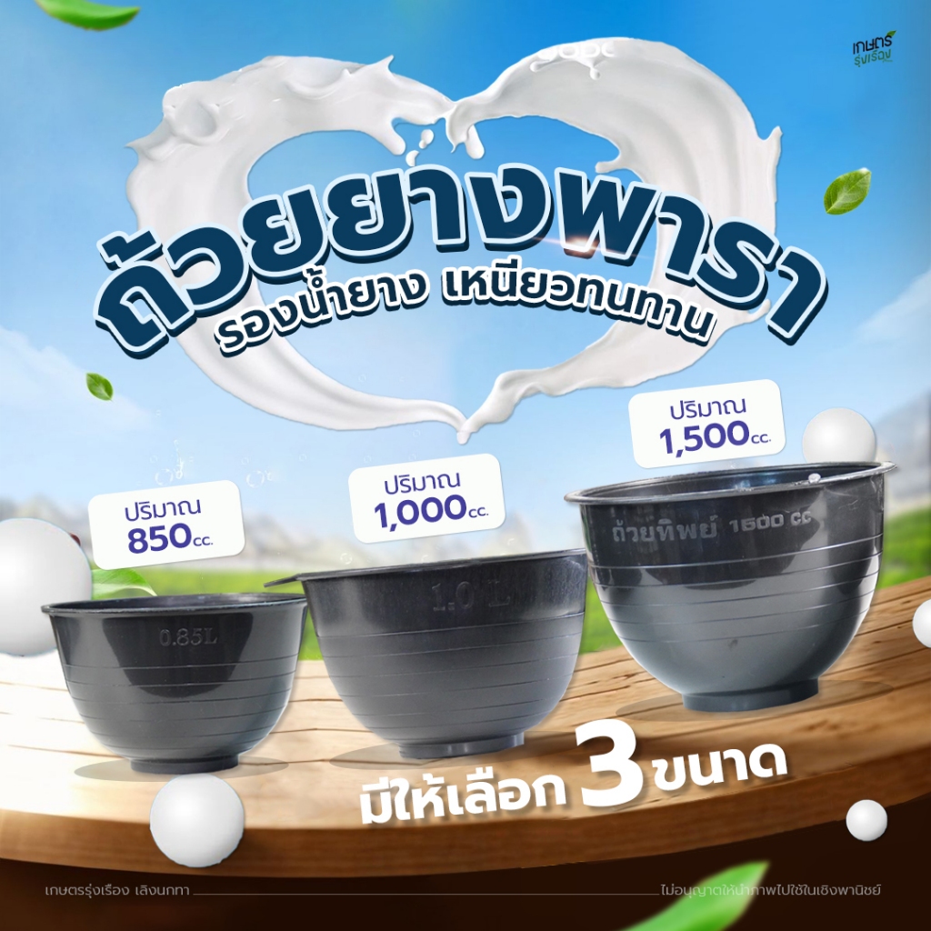 ถ้วยยางพารา รองน้ำยาง เหนียมทนทาน (ขนาด 850 cc./1000 cc./1500 cc.)(จำนวน 100 ใบ)