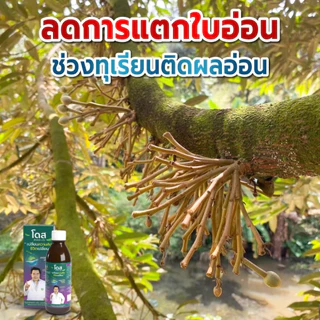 เร่งโตข้าว เร่งรวง สำหรับพืชไร่ เร่งผล เร่งราก เพิ่มผลผลิต [ร้านค้าบริษัท] โดสเอ็กซ์ตร้านาโน