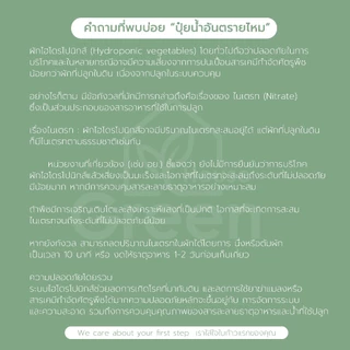 ปุ๋ยน้ำกรีนเฮาส์แท้ ปุ๋ยน้ำ AB สำหรับปลูกพืชไฮโดรโปนิกส์ ผักสลัด และผักไทย คุณภาพดี ราคาถูก พร้อมส่ง