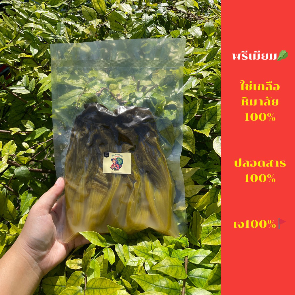 🥬 ผักกาดดองพรีเมียม เกลือหิมาลัยชมพูแท้ 500g-1kg. | เปรี้ยวกลม เค็มอ่อน หอมหมักธรรมชาติ - รูปที่ 2