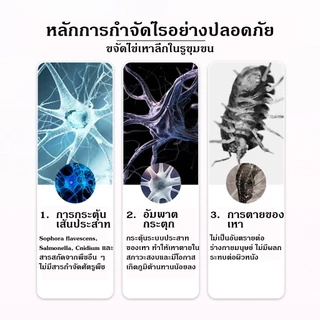 สเปรย์กําจัดเหา หัวพระจันทร์ใต้ 30 มล. สูตรสมุนไพรแท้100% เหาตาย กำจัดเหา อ่อนโยน กลิ่นหอม ใช้ได้ตั้งแต่6ขวบ