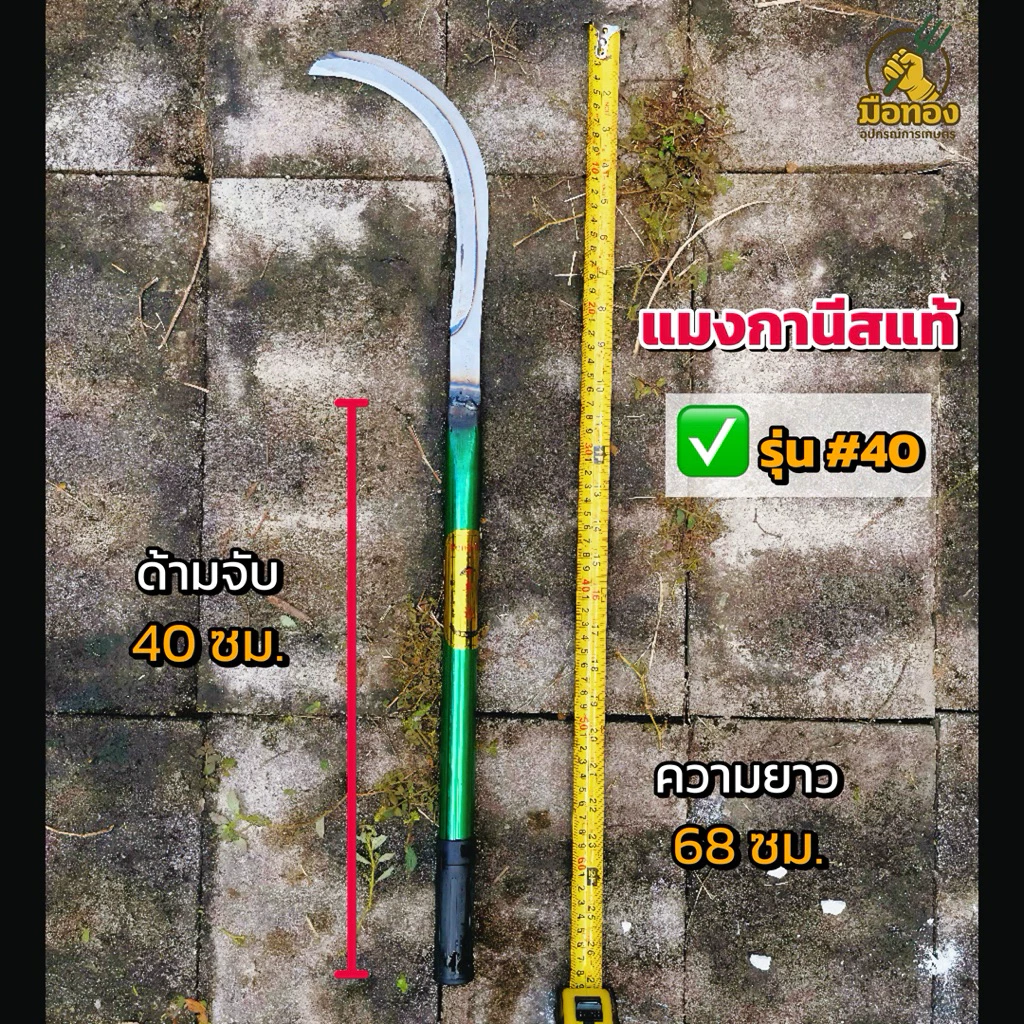 เคียวเหล็กแมงกานีสแท้ คมจริง ตัดง่ายไม่ลื่น มือทองอุปกรณ์การเกษตร thumbnail 3
