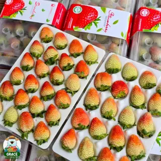🍓 สตอเบอรี่สด 🍓 แพ็ค 20-24 ลูก โปรดอ่านรายละเอียดก่อนสั่งซื้อ