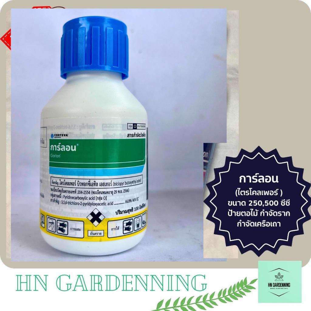 การ์ลอน กำจัดตอไม้ใหญ่ ตอสัก ตอไทร ตอกระถิน ขนาด 100 ซีซี (มีส่งด่วน)