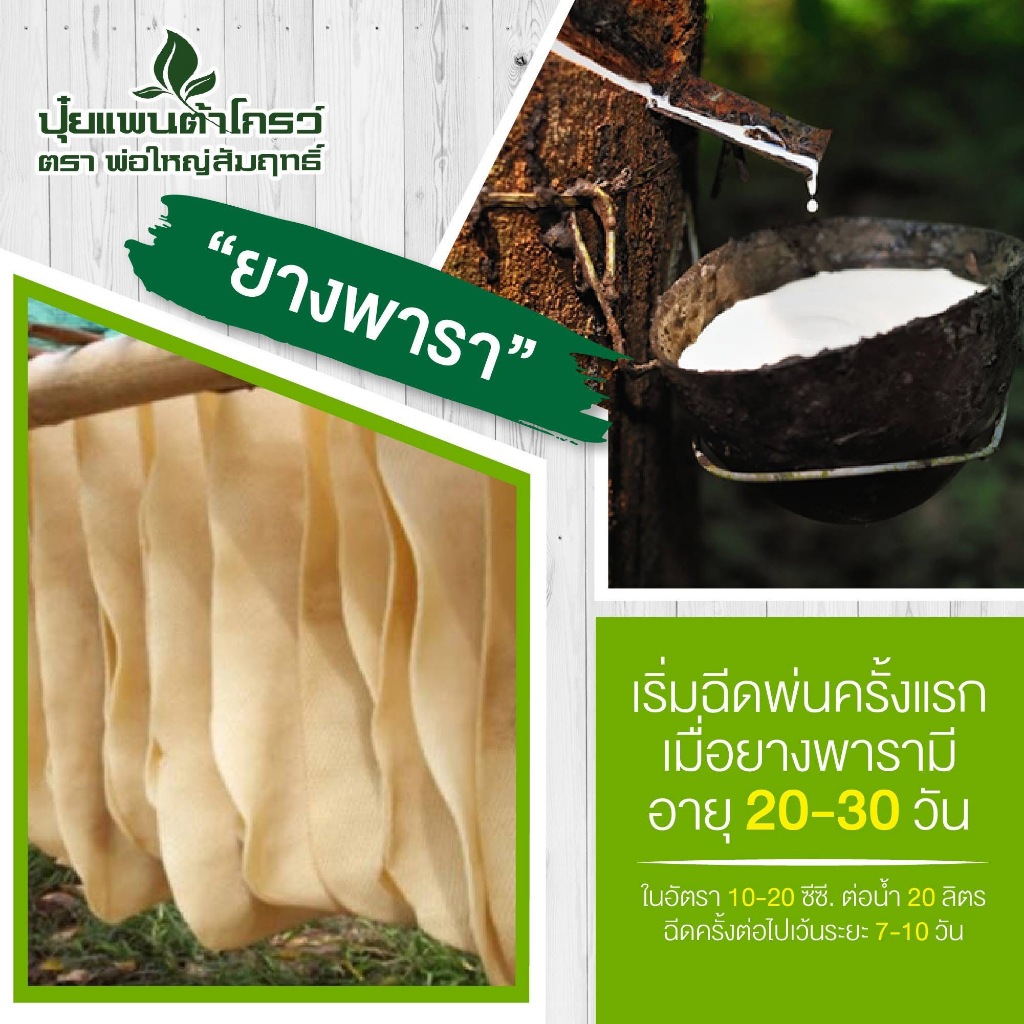 [2 ขวด] Pantagrow ปุ๋ยแพนต้าโกรว์ (ตรา) พ่อใหญ่สัมฤทธิ์ - รูปที่ 7