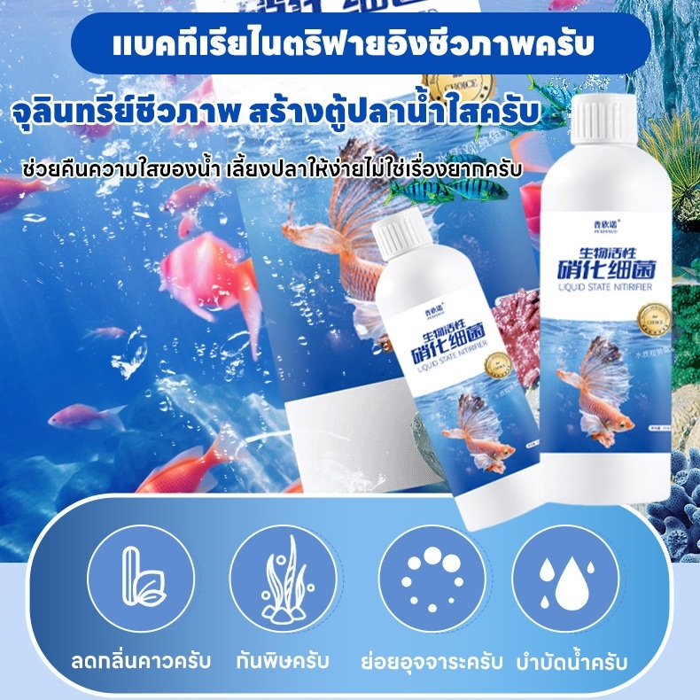 แบคทีเรียไนตริไฟอิง HBแบคทีเรียย่อยสลายของเสีย ปรับสภาพน้ำใส ลดตะไคร่ และเศษอาหารในบ่อปลาและตู้ปลา