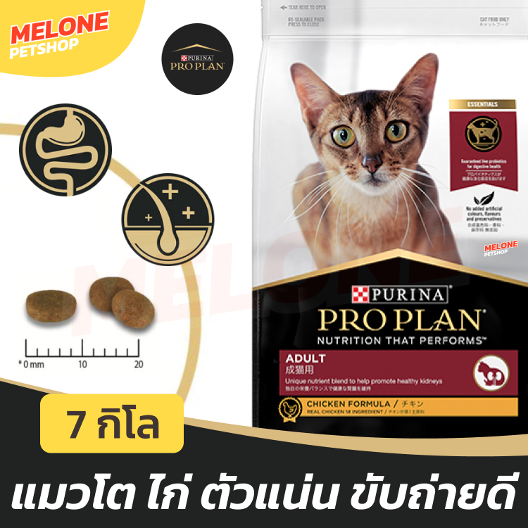 [ล็อตใหม่] Purina Proplan อาหารแมว โปรแพลน แมว สูตร ไก่ สำหรับ แมวโต บำรุงขน ตัวแน่น อายุ 1 ปี ขึ้นไป 7 kg