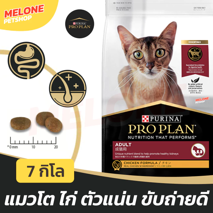 [ล็อตใหม่] Purina Proplan อาหารแมว โปรแพลน แมว สูตร ไก่ Chicken สำหรับ แมวโต บำรุงขน ตัวแน่น อายุ 1 ปี ขึ้นไป 7 kg