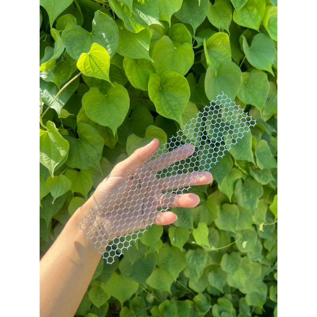 รูปภาพ 4