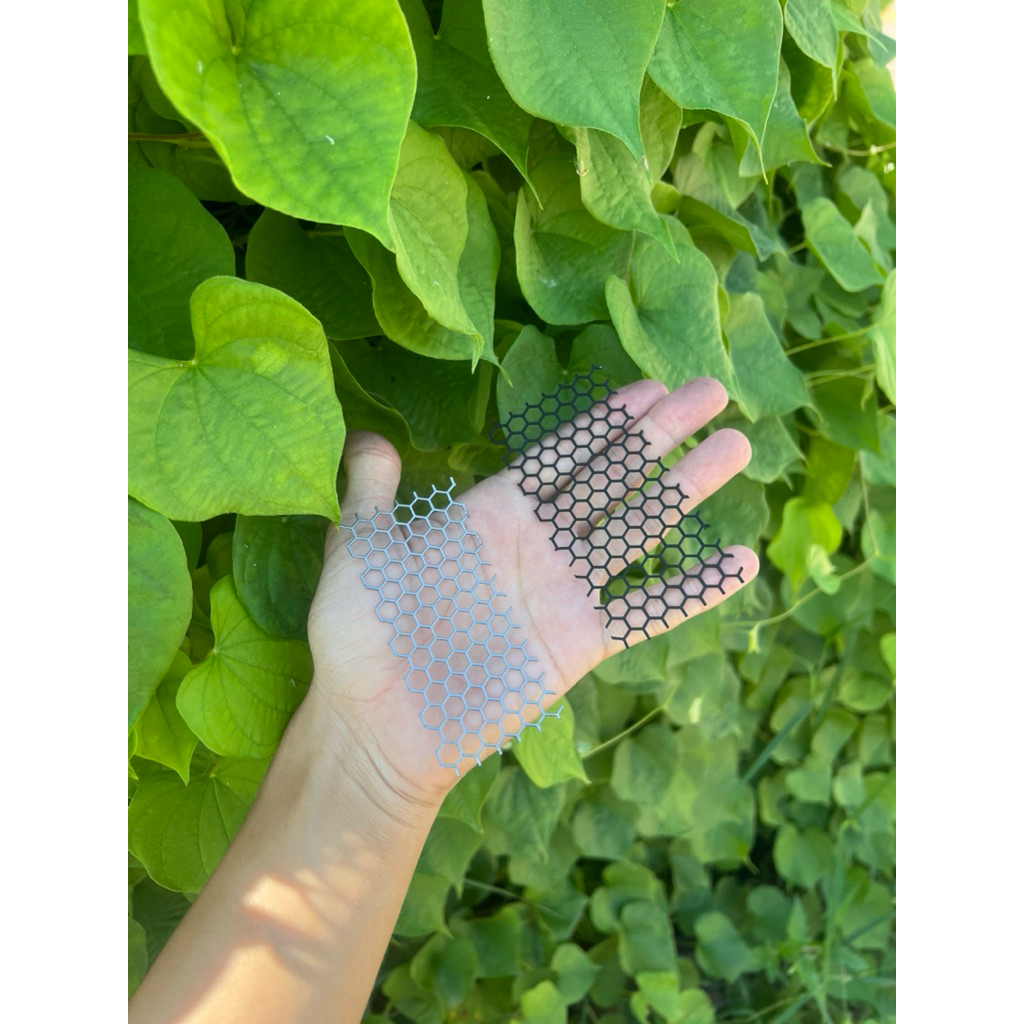 รูปภาพ 5