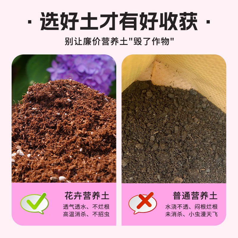 test-soil test-soil test-soil test-soil test-soil test-soil test-soil