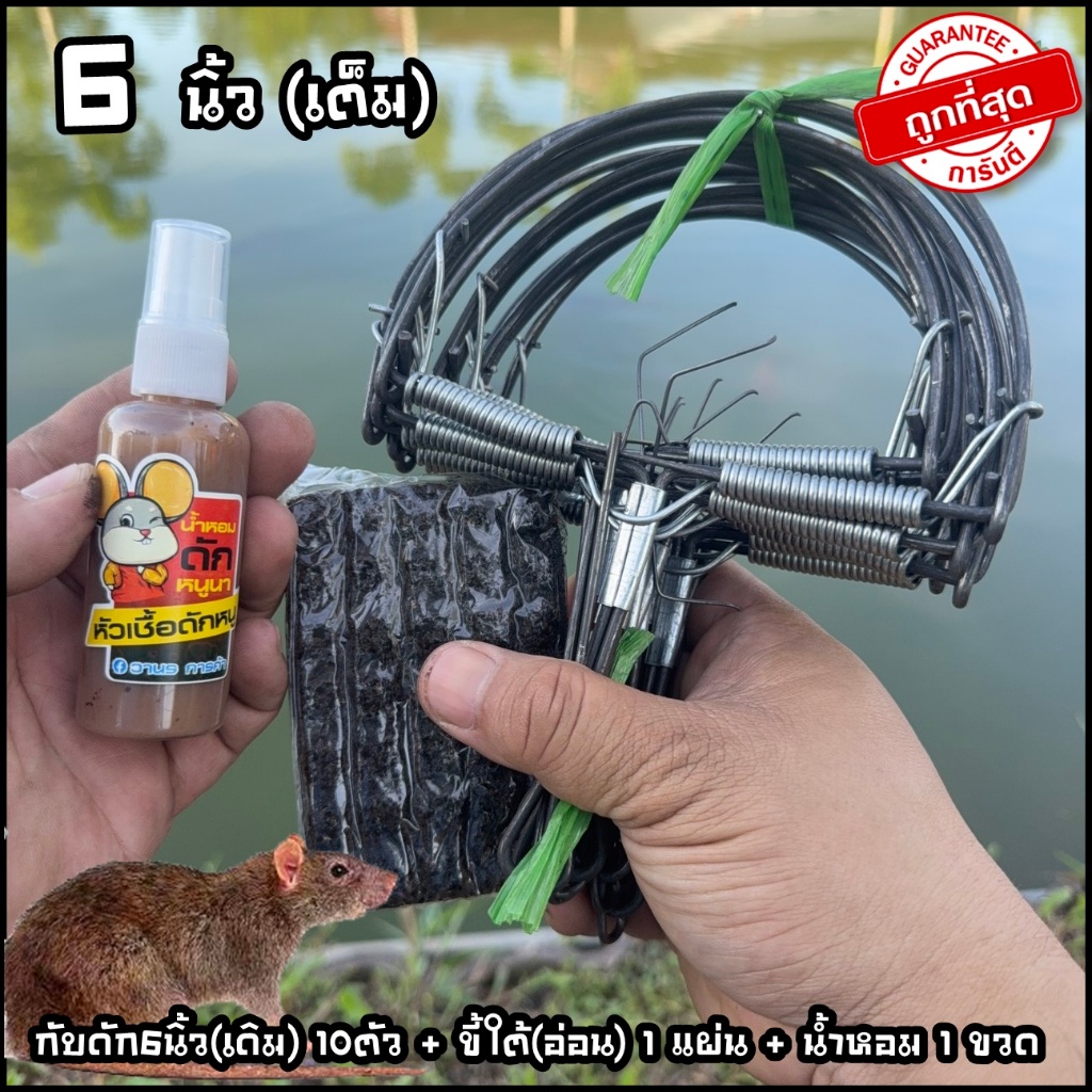 กับ ดัก หนู 6นิ้ว (เดิม) มัดละ 10ชิ้น 🐭🐭ที่ดักหนู กับเหล็ก กับดักหนูเวียดนาม🐭🐭 ดักพังพอน อีเห็น