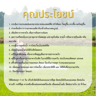 ซุปเปอร์ไมโครมิกซ์ พืชโตไว ให้ผลใหญ่ เร่งราก เร่งเเป้ง เร่งน้ำตาล เร่งหน่อ ดึงช่อ เสริมภูมิต้านทาน ปลอดภัยต่อชีวิต