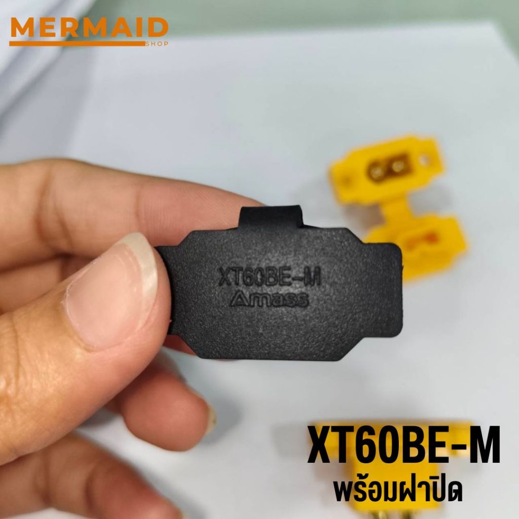 รูปภาพ 8