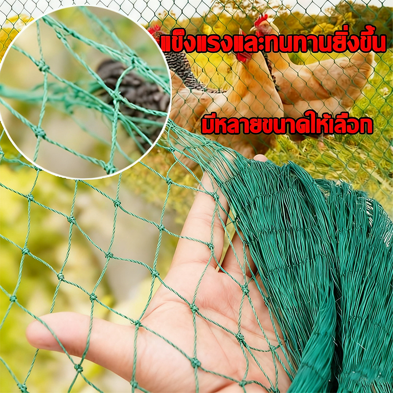 อวนล้อมไก่ ตาข่ายไนล่อน ตาข่ายกั้นไก่ ตาข่ายไนล่อนสำหรับไก่ ตาข่ายกันไก่ที่มีอายุการใช้งานยาวนาน