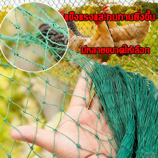 อวนล้อมไก่ ตาข่ายไนล่อน ตาข่ายกั้นไก่ ตาข่ายไนล่อนสำหรับไก่ ตาข่ายกันไก่ที่มีอายุการใช้งานยาวนาน