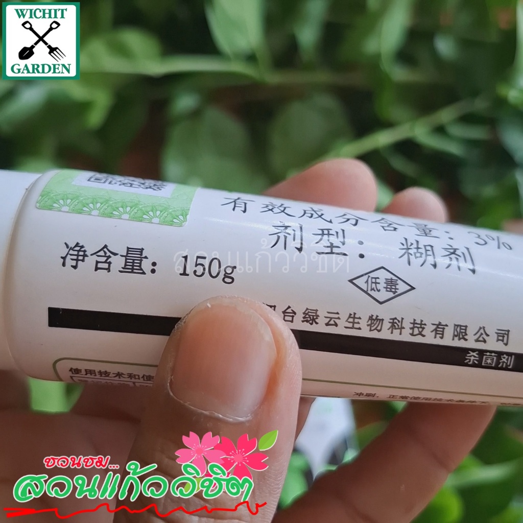 สุดคุ้ม 250G! ยาทาแผลบอนไซ ไม้ด่าง/มอนสเตอร่า/แคคตัส ป้องกันเชื้อรา สมานแผลไว ยาปิดแผลต้นไม้