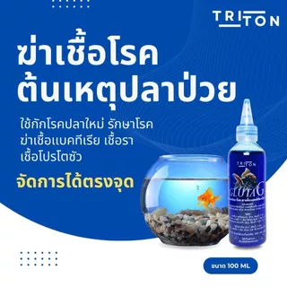 Tritom Gluta G ไทรทัน กลูต้าจี สำหรับ กักโรคปลา ฆ่าเชื้อโรค ขนาด 100ml