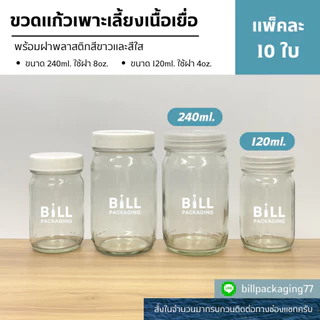 (แพ็ค10ใบ) ขวดเพาะเลี้ยงเนื้อเยื่อพร้อมฝา 120ml.และ 240ml. (Tissue Culture Bottle)(2ขนาด) [รหัสขวด:TG48.TG71]