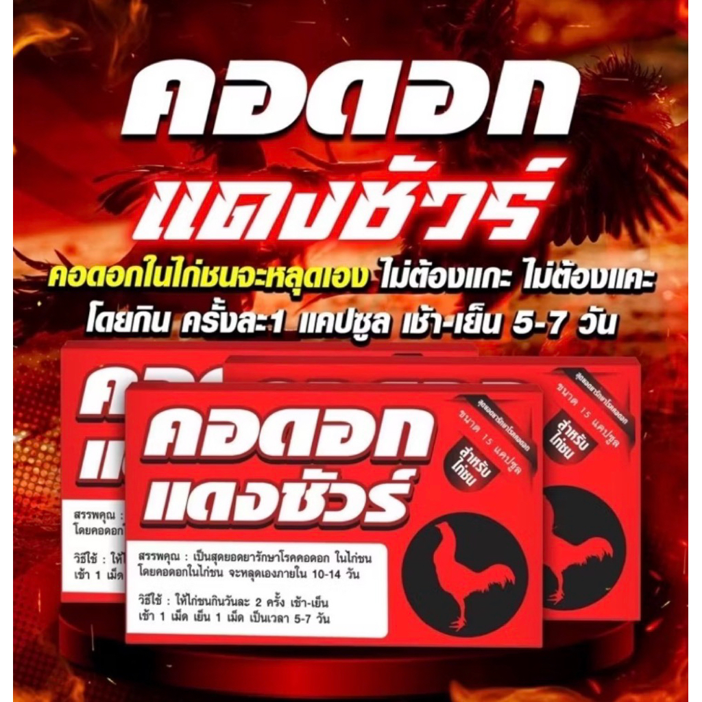 คoดoก แดงชัว คอดอ ก  อาหารนก