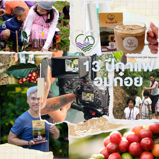 [เจ] Trulyhill 3in1 Coffee กาแฟอมก๋อยคั่วบดพร้อมดื่มเพื่อสุขภาพ - กล่องใหญ่ (20 ซอง)