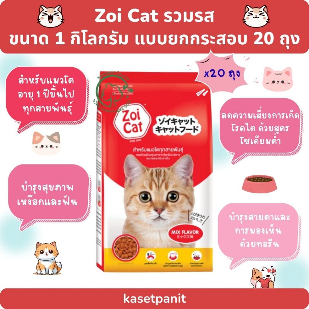 Zoi Cat อาหารแมวซอยแคท รวมรส (1 กก.) แบบยกกระสอบ บรรจุ 20 ถุง