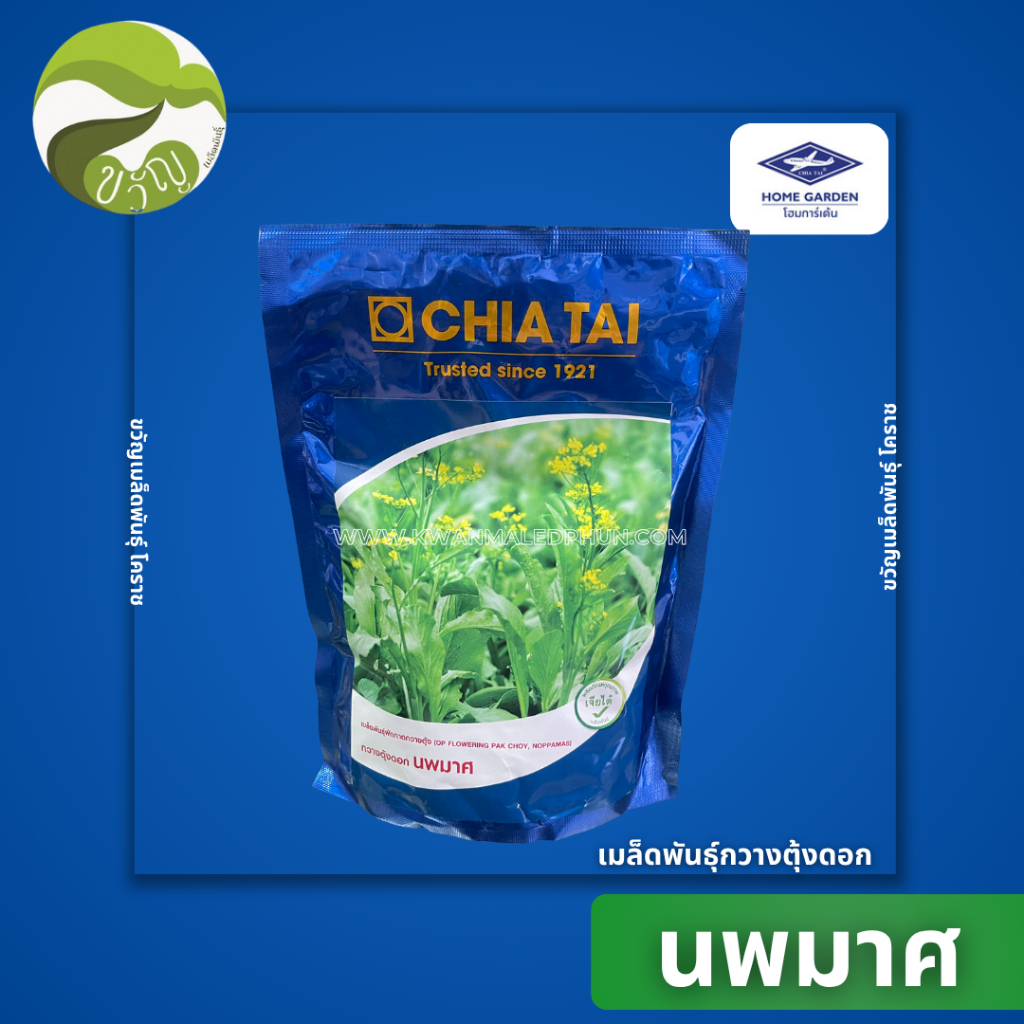 นพมาศ กวางตุ้งดอก ตราเจียไต๋ ลอตใหม่