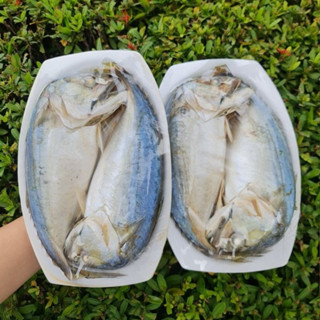 ปลาทูนึ่ง มี2ขนาด แพ็ค2ตัว200กรัม  และแพ็ค1ตัว ตัวใหญ่ๆ น้ำห…